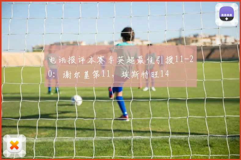 电讯报评本赛季英超最佳引援11-20：谢尔基第11，埃斯特旺14