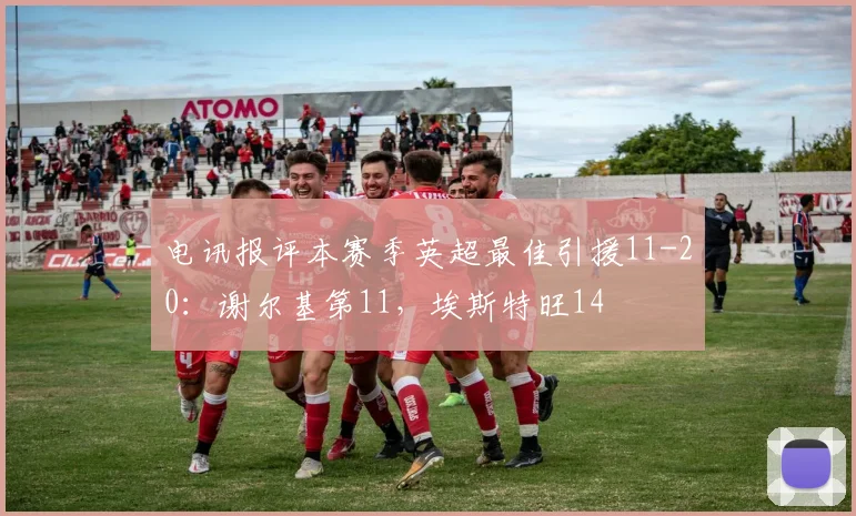 电讯报评本赛季英超最佳引援11-20：谢尔基第11，埃斯特旺14