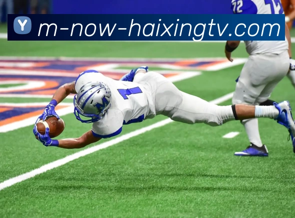 海星体育品牌故事